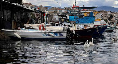 Balık sizden, mazot bizden
