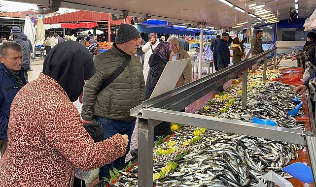 Balık tezgahlarında hamsi yok, vatandaş diğer balıklara yöneldi