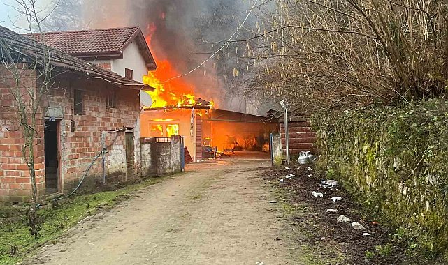 Bartın'da yanan ev kullanılamaz hale geldi