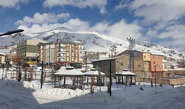 Başkale'de kar yağışı