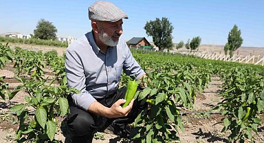 Başkan Çolakbayrakdar: "Toprağımıza bereket, çiftçimize yeni kazanç kapısı açıyoruz"