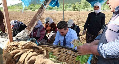 Başkan Tatık'tan tütün firmalarına 'Alım takvimi açıklayın' çağrısı