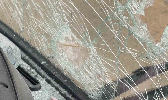 Başkan terörist benzetmesi yapmıştı, o şüpheliler yakalandı