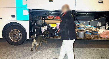 Batman'da narkotik köpeği "Hector" zehir tacirlerine geçit vermedi