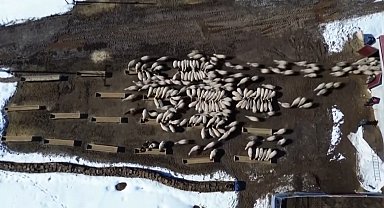 Bayburt'ta 50 milyon liralık yem desteği 2 bin 601 işletmeye ulaştı