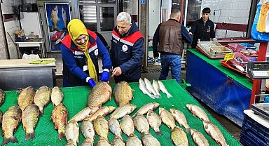 Beyşehir Gölünde avcılık falliyetleri denetim altındı