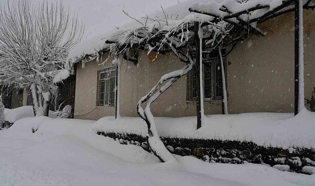 Beytüşşebap ve Uludere ilçelerinde kar yağışı etkili oldu