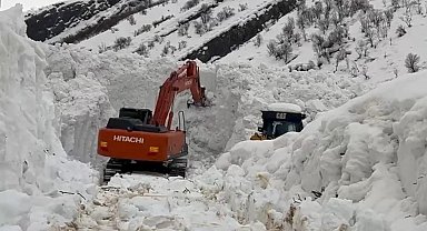 Beytüşşebap'ta çığ alarmı