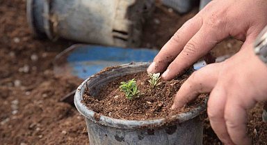 Bilecik'te park ve bahçelerden bahara hazırlık
