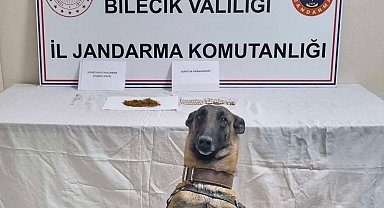 Bilecik'te uyuşturucu operasyonu: 1 gözaltı