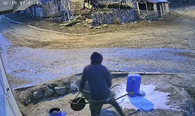 Bir bidon sütü deviren gencin çaresiz anları kamerada