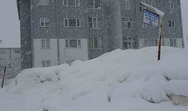 Bitlis'te 304 köy yolu kar nedeniyle ulaşıma kapandı