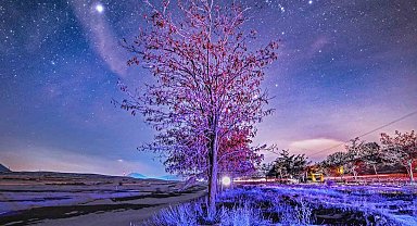 Bitlis'te kış geceleri yıldızlarla buluştu