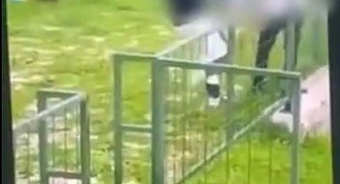 Bodrum'da akran zorbalığı: Çocuğu feci şekilde darbederek bayılttı