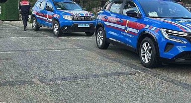 Bodrum'da iki köpeğin silahla vurulduğu iddiası