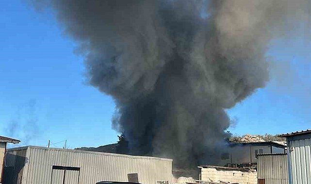 Bodrum'da işçilerin kaldığı konteyner alevlere teslim oldu