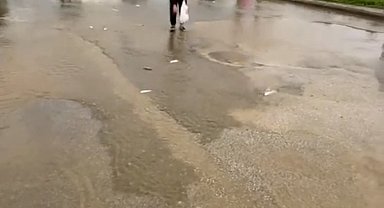 Bodrum'da sağanak baskını: Gölet taştı, asfalta balık yağdı