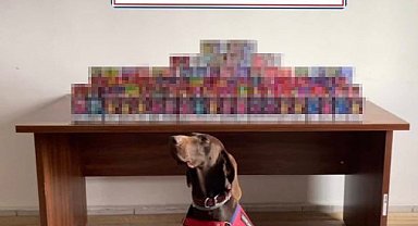 Bolu'da 150 adet elektronik sigara ele geçirildi