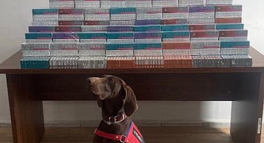 Bolu'da binlerce elektronik sigara kiti ele geçirildi