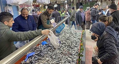 Bolu'da hamsi bolluğu sürüyor: Kilosu 200 liradan rağbet gördü