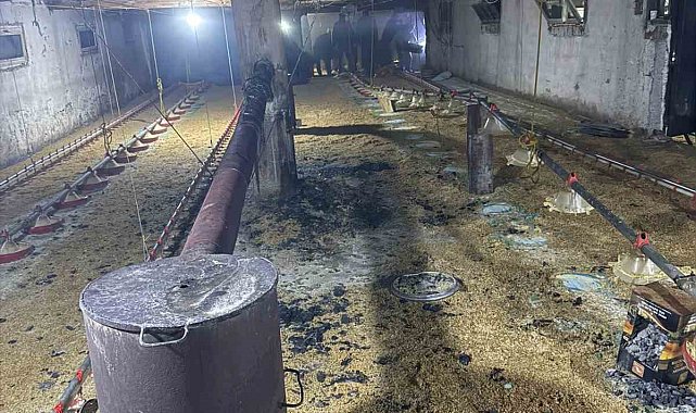 Bolu'da kümes yangını büyümeden söndürüldü