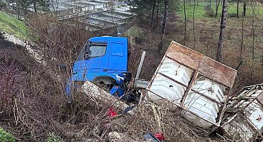 Bolu'da tır şarampole devrildi, elektrik direği zarar gördü