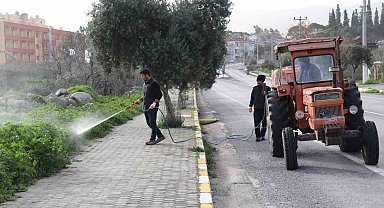 Bozdoğan'da yabani ot mücadelesi