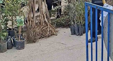 Bursa'da seyyar satıcılardan zabıtaya bıçaklı saldırı, 1 zabıta yaralandı