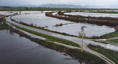 Büyük Menderes nehrindeki taşkın karayolunu kapattı