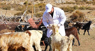 Büyükşehir Çoban Haritası Projesi ile 508 çobana destek oldu