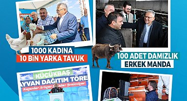 Büyükşehir ile Kayseri, hayvancılıkta yükselişte