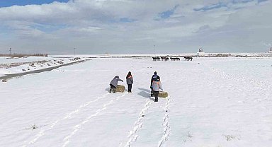Büyükşehirden 'dilsiz dostlara' merhamet eli: Soğuk günlerde sıcak bir dokunuş