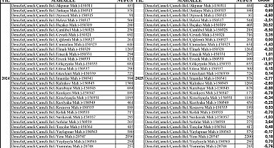 Çameli'de yaşam kalitesi güçlülüğü dış göçü engelliyor