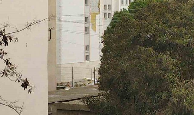 Çanakkale'de fırtına ağaçları devirdi