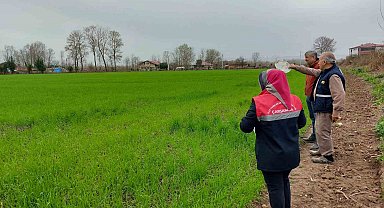 Çarşamba'da fenolojik gözlem ve destekleme çalışmaları