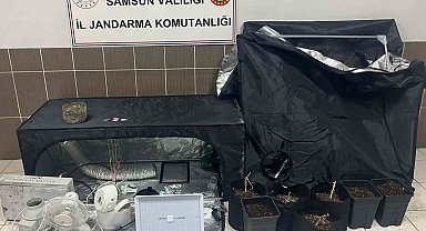 Çarşamba'da jandarmadan uyuşturucu operasyonu