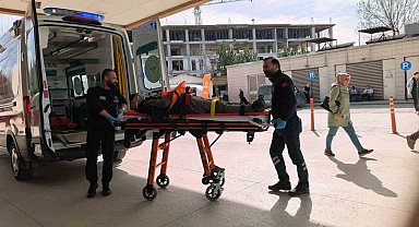 Ceviz ağacından düşen yaşlı adam ağır yaralandı