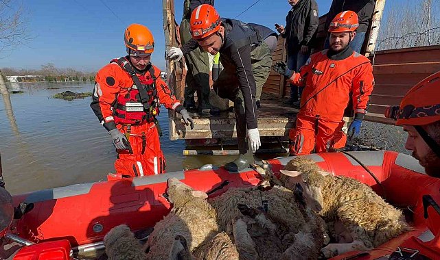 Çiftliklerde mahsur kalan hayvanlar botla kurtarılıyor