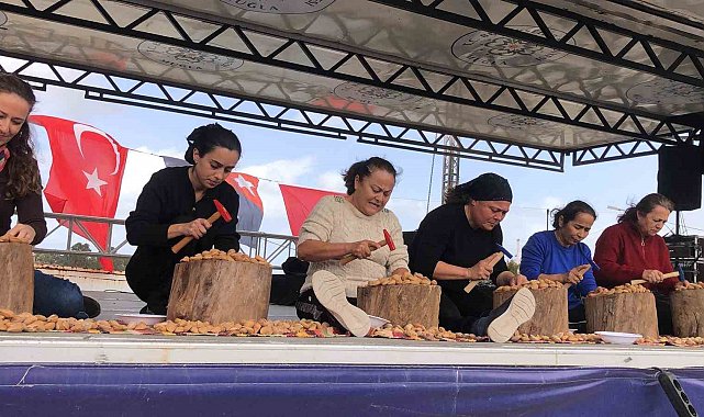 Datça 7. Badem Çiçeği Festivali sona erdi