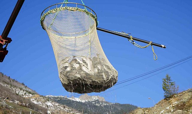 Denizi olmayan Gümüşhane'de alabalık üretimi 2 bin tona ulaştı