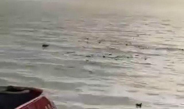 Denizi şehir çöplüğüne çevirdiler