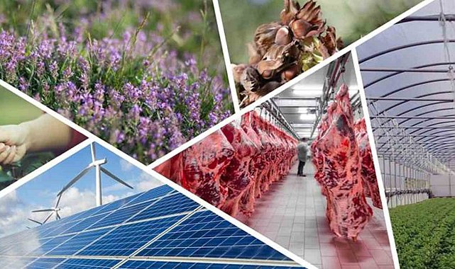 Denizli'de tarımsal kalkınmaya 82 milyonluk hibe desteği