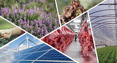 Denizli'de tarımsal kalkınmaya 82 milyonluk hibe desteği