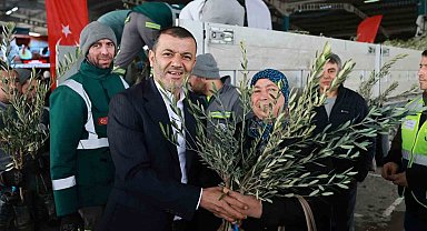 Denizli'nin 19 ilçesinde 84 bin zeytin fidanı üreticilere dağıtıldı