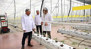 Denizli'nin 2025 bitkisel üretim tablosu yüz güldürdü