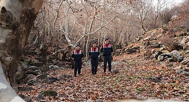 Diyarbakır'ın ekolojik dengesi Çevre ve Doğal Hayatı Koruma Kısmı tarafından korunuyor