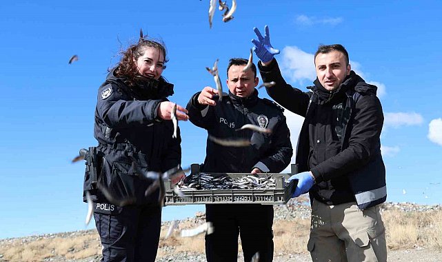 Doğu'nun gizli denizinde şefkat eli: Polis ekipleri martı ve tavşanları unutmadı