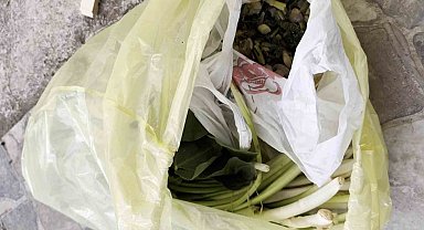 Doktor çiftin zor anları, ağzına alır almaz fenalaştı: "Pazı olarak aldığım ot, tirşik otu çıktı"