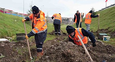 Düzce'de parklarda alt yapı çalışmaları sürüyor