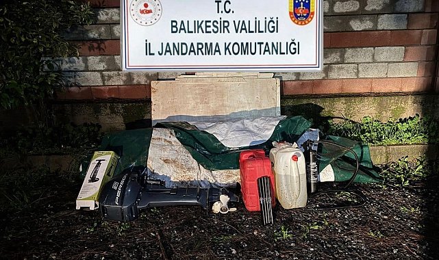 Düzensiz göçmenler zeytinlik alanda yakalandı